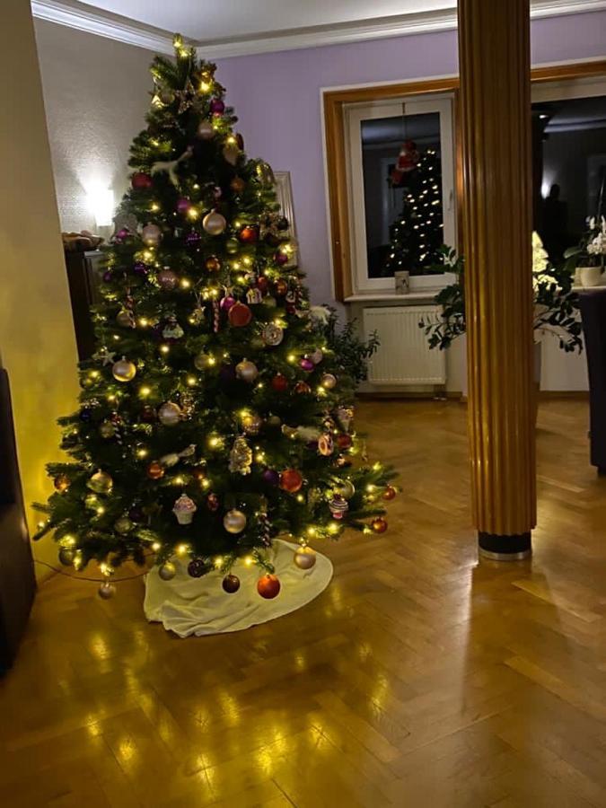 Hotel Sonnenhof 진델핑겐 외부 사진